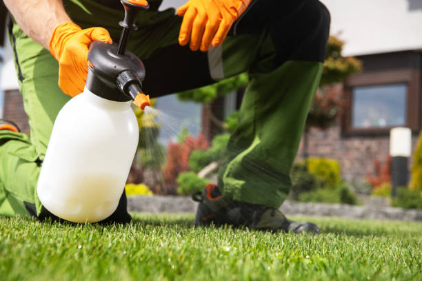 Best Pest Control for Homes  in Narberth, PA